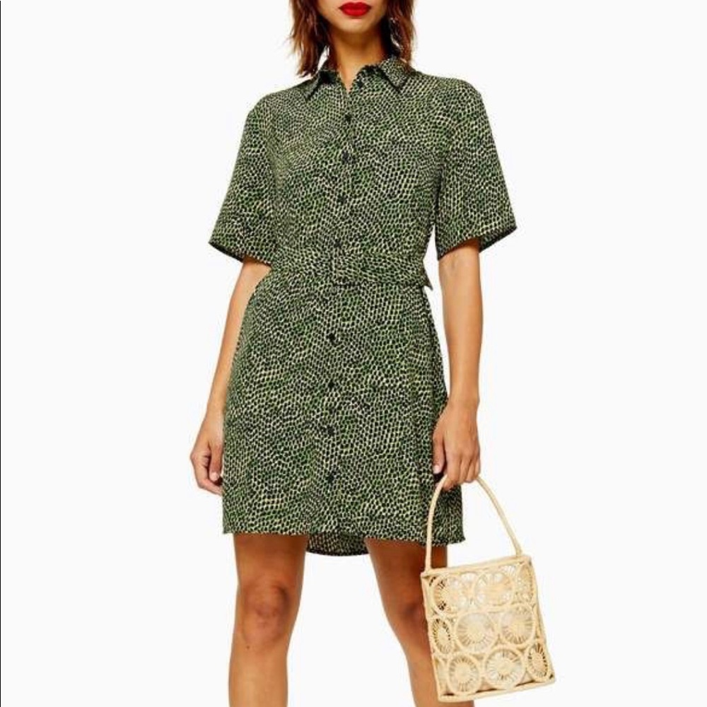Topshop Snake Print Dress